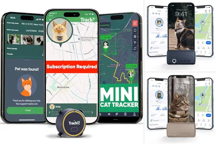 Detailed view of Best Real Time GPS Cat Trackers