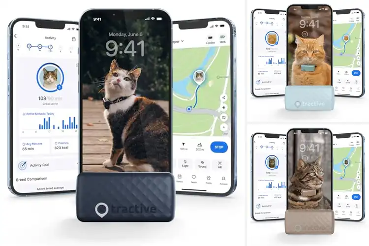Detailed view of Best Real Time GPS Cat Trackers With 2-3 Second Updates