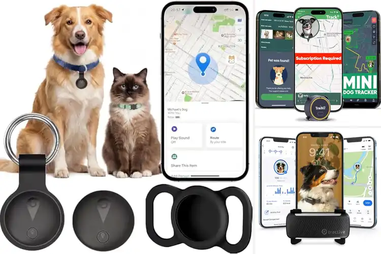 Detailed view of Best Real Time Gps Pet Trackers