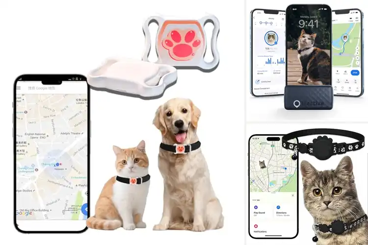 Detailed view of Best Real Time GPS Tracking Cat Trackers