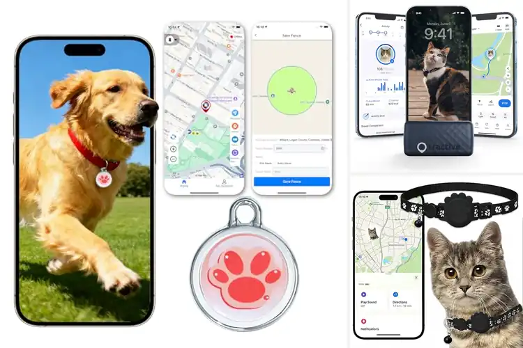 Detailed view of Best Real Time GPS Tracking For Cats