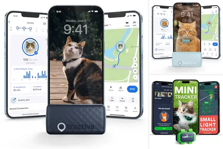Detailed view of Best Real Time Location Alerts For Cats