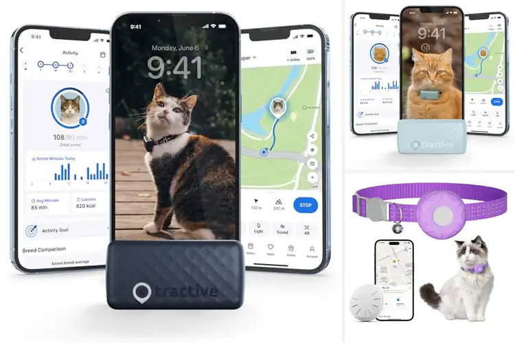 Detailed view of Best Real Time Location Trackers for Cats