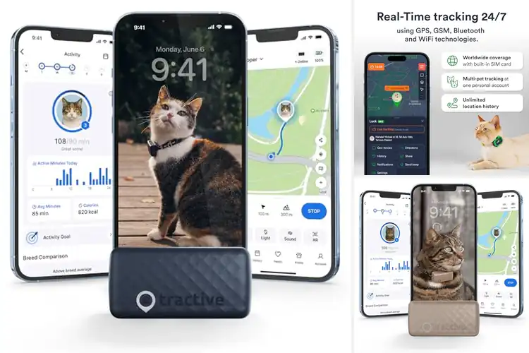 Detailed view of Best Real Time Location Tracking Cat Trackers