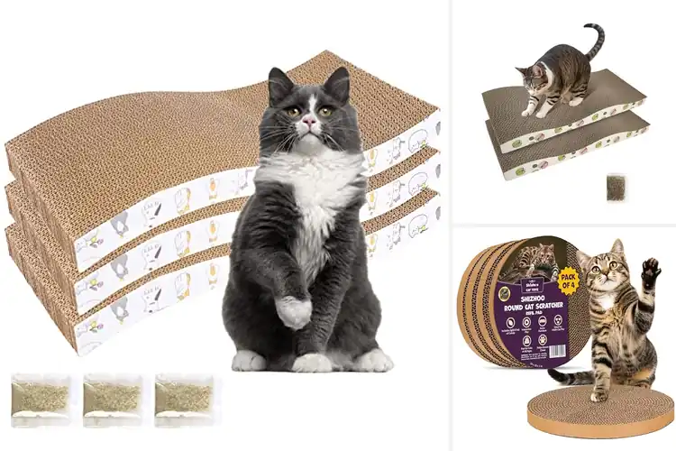 Detailed view of Best Recycled Cardboard Cat Scratch Pad
