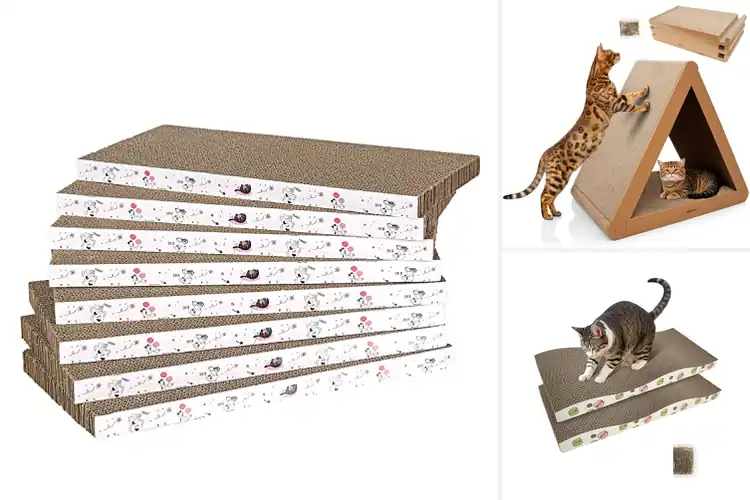 Detailed view of Best Recycled Cardboard Cat Scratcher