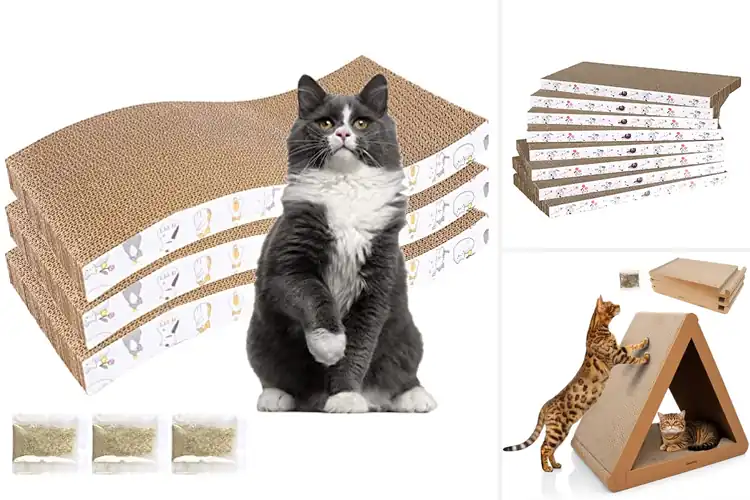 Detailed view of Best Recycled Cardboard Cat Scratchers