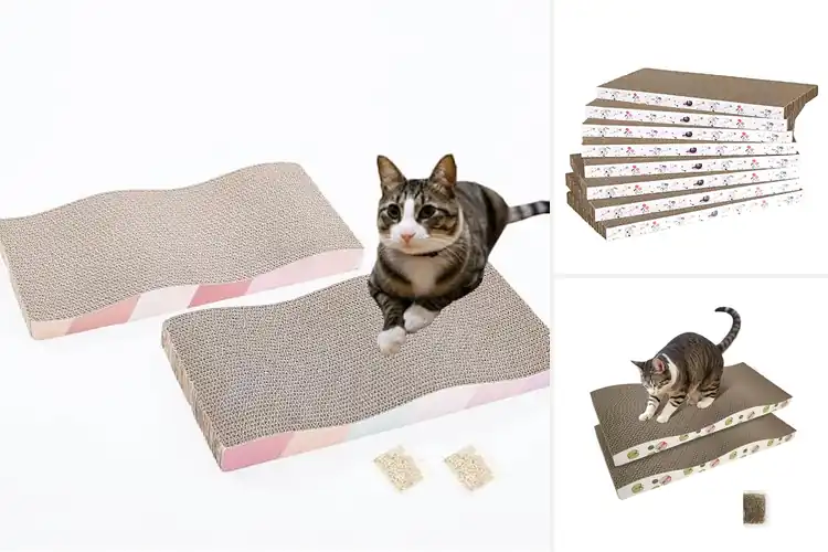 Detailed view of Best Recycled Cardboard Scratcher Material