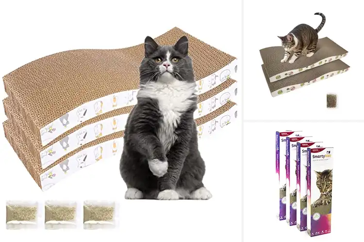 Detailed view of Best Recycled Cardboard Scratchers