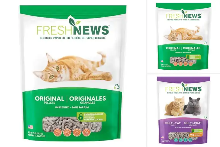 Detailed view of Best Recycled Cat Products