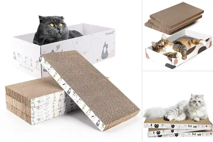 Detailed view of Best Refillable Cardboard Scratcher