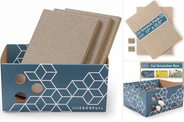 Detailed view of Best Refillable Cat Scratcher Boxes