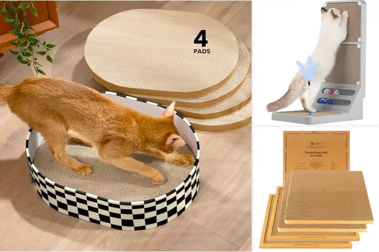 Detailed view of Best Refillable Cat Scratcher