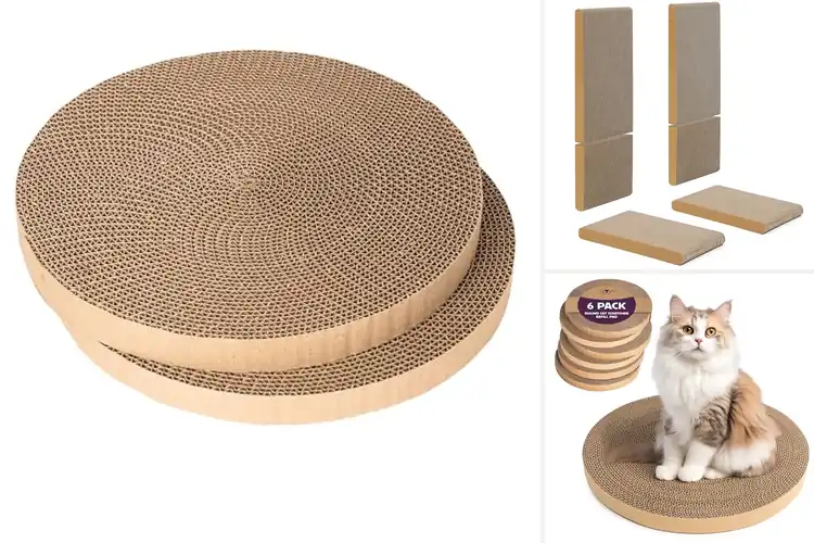Detailed view of Best Refillable Scratcher Pad