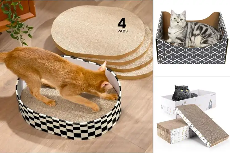 Detailed view of Best Refilling Cat Scratcher Bed Top 10 Reviewed