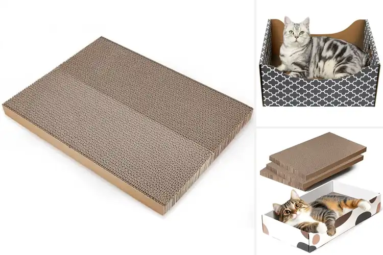 Detailed view of Best Refilling Cat Scratcher Box: Top 10 Mess-Free Picks