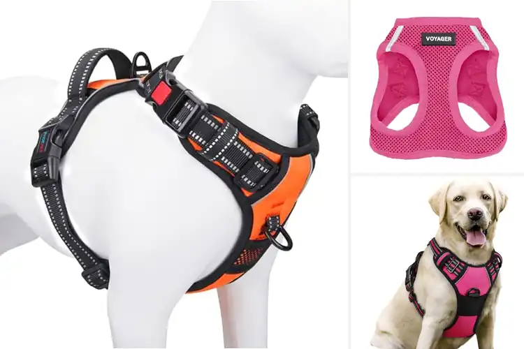 Detailed view of Best Reflective Harnesses: Safe and Stylish Walks Await