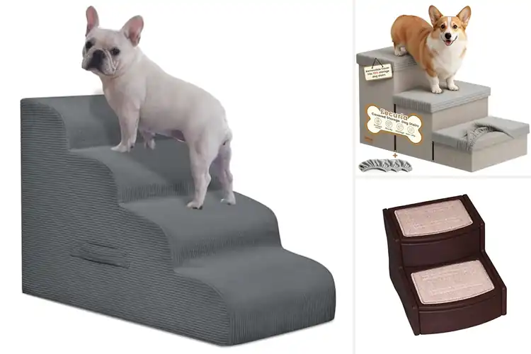 Detailed view of Best Removable Step Pet Stair