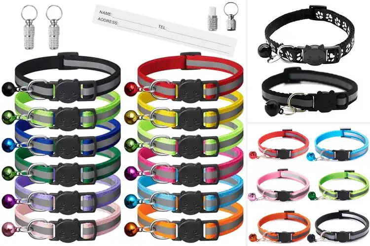 Detailed view of Best Safe Quick Release Cat Collars