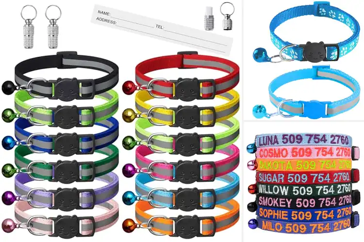 Detailed view of Best Safety Buckle Cat Collars