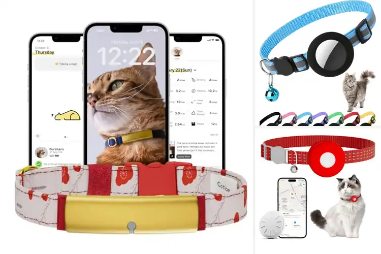 Detailed view of Best Safety Buckle Cat Trackers
