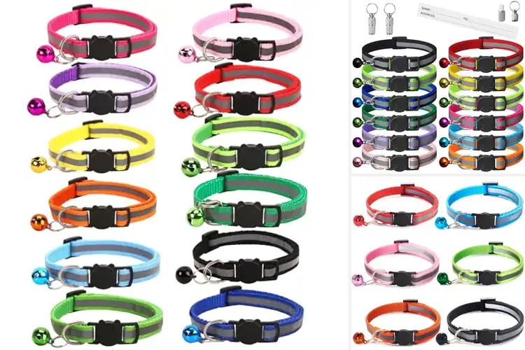 Detailed view of Best Safety Cat Collars With Quick Release Buckle