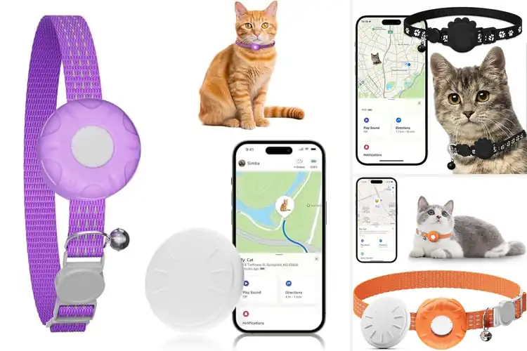 Detailed view of Best Safety Cat Trackers: Top Picks for Secure Adventures