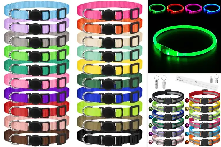 Detailed view of Best Safety Pet Collars