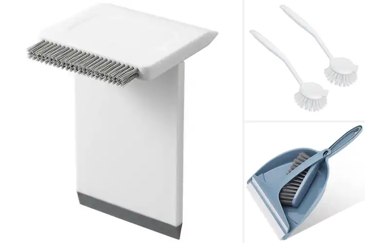 Detailed view of Best Scraper For Messes