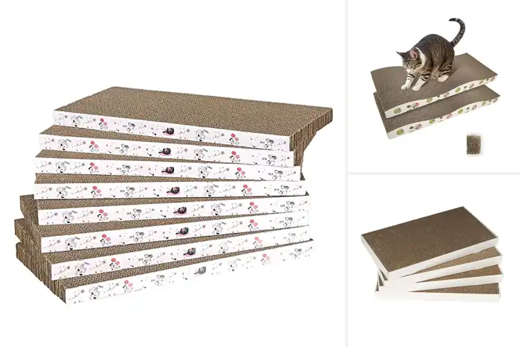 Detailed view of Best Scratching Pads