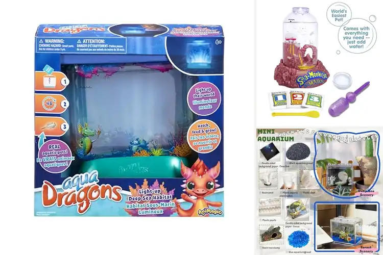 Detailed view of Best Sea Monkey Habitats: 10 Top Picks for Your Ocean Pets