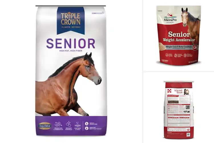 Detailed view of Best Senior Horse Feeds: Top Picks for Healthy Aging Equines