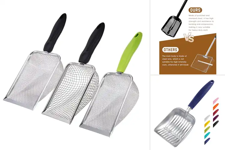 Detailed view of Best Sifting Scoops