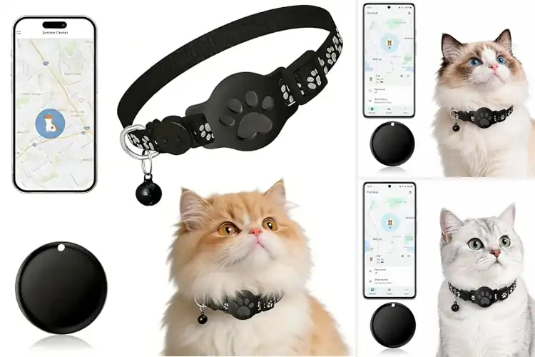 Detailed view of Best Silent Encrypted Tracking For Cats