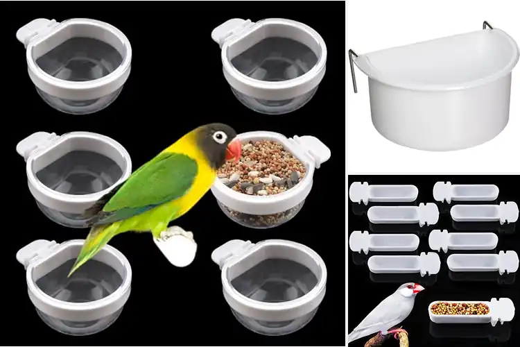 Detailed view of Best Small Bird Cups