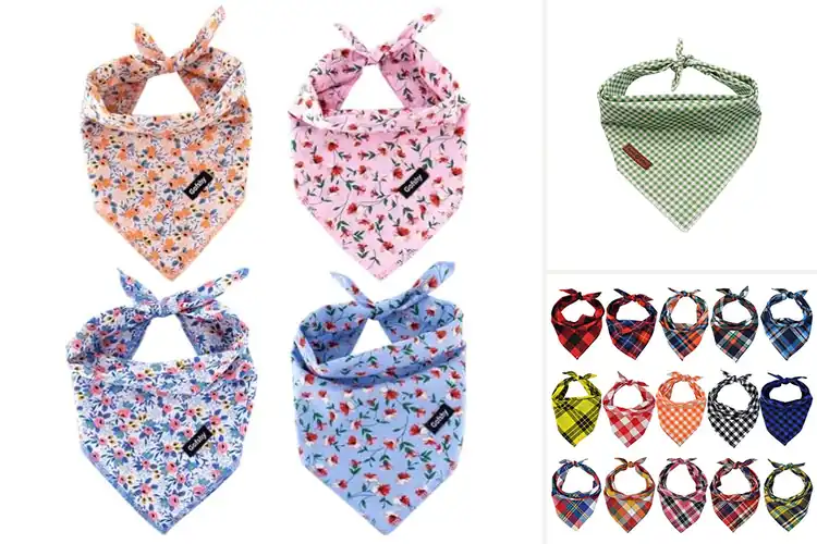 Detailed view of Best Small Medium Dog Bandanas: Top 10 Stylish & Comfy Picks