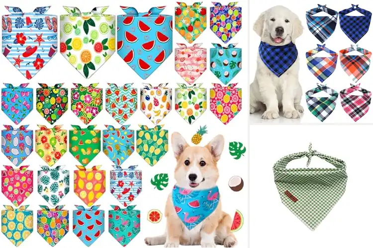 Detailed view of Best Small Medium Dogs And Cats Bandanas