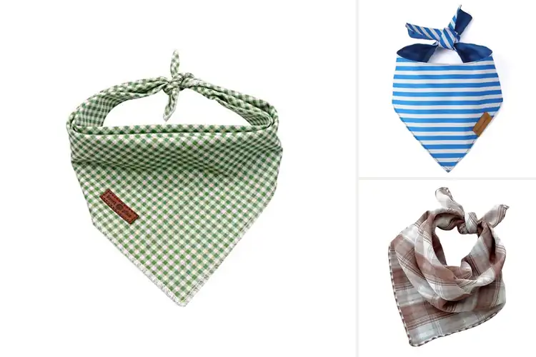 Detailed view of Best Small Medium Dogs Bandana: 10 Stylish & Comfy Picks