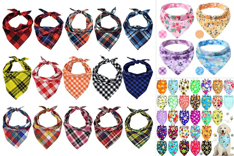 Detailed view of Best Small Medium Pet Bandanas