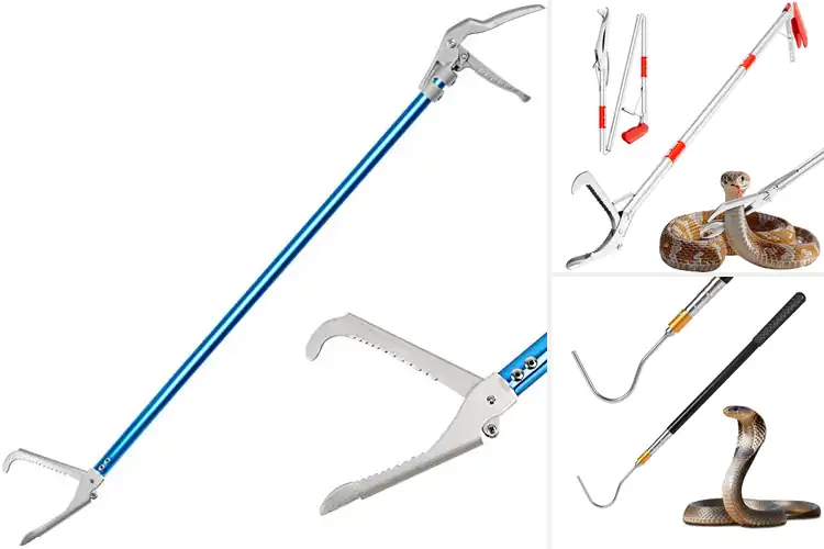 Detailed view of Best Snake Handlers