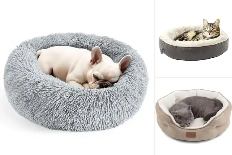 Detailed view of Best Soft Cat Beds