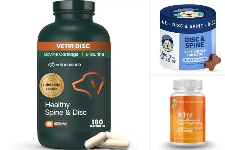Detailed view of Best Spinal Wellness Supplements for Dogs