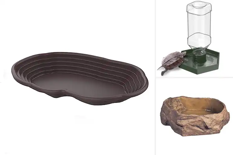 Detailed view of Best Stable Reptile Water Containers