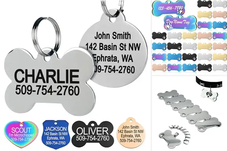Detailed view of Best Stainless Steel Pet Tags