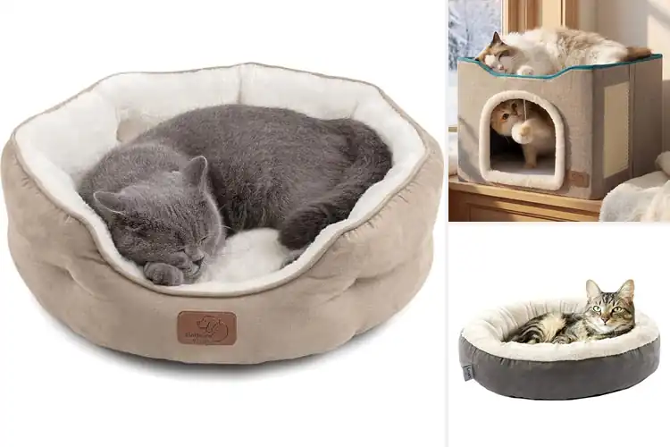 Detailed view of Best Sturdy Cat Beds for Lasting Comfort & Easy Cleanup