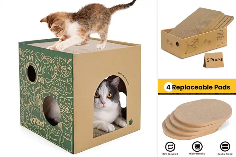 Detailed view of Best Sturdy Cat Scratch Boxes
