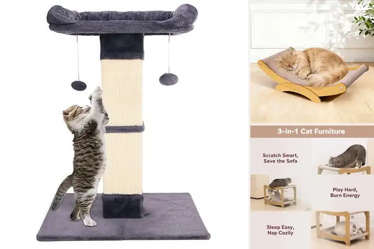 Detailed view of Best Sturdy Cat Scratching Beds: Top Durable & Cozy Picks