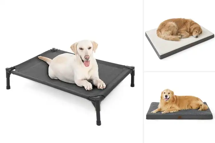 Detailed view of Best Sturdy Pet Bed For Up To 100 Pounds