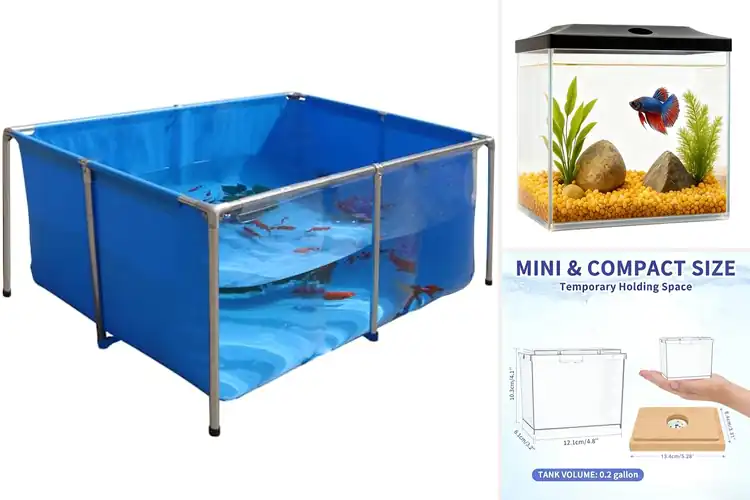 Detailed view of Best Temporary Fish Tanks