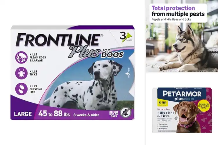 Detailed view of Best Tick And Flea Treatment For Dogs